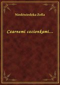 Czarnemi czcionkami... - ebook