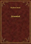 Strumień - ebook