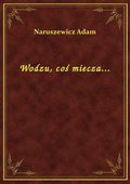 Wodzu, coś miecza... - ebook