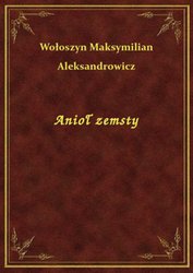 : Anioł zemsty - ebook