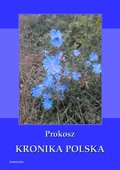 Kronika Polska - ebook