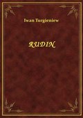 Rudin - ebook