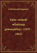 Tajne związki młodzieży gimnazjalnej : (1857 - 1863) - ebook